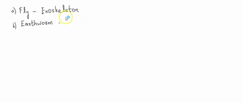 which-of-the-following-animals-is-correctly-matched-with-its-type-of-skeleton-a-fly-endoskeleton-b-2-17233