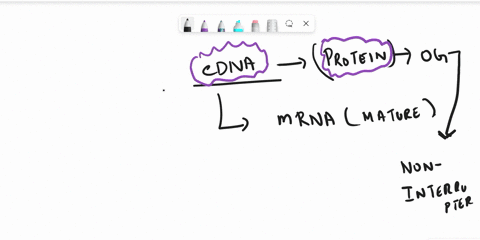 you-want-to-test-which-signaling-pathway-is-involved-in-the-formation-of-the-spinal-cord-during-early-embryogenesis-you-isolate-some-embryonic-tissue-purify-its-mrna-and-then-do-reverse-tran-06258