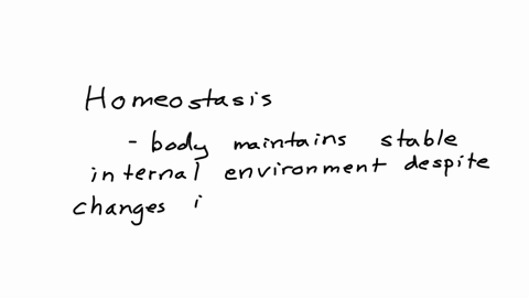 page-24-of-40-question-24-05-point-when-the-body-sences-a-disturbance-from-homeostasis-and-makes-a-change-in-its-internal-emironment-to-return-back-to-homeostasis-this-is-an-example-of-what-a-postive