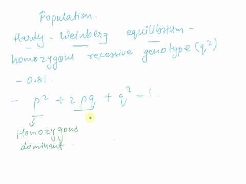 in-a-population-that-is-hardy-weinberg-equilibrium-the-frequency-of-the-homozygous-recessive-genotype-is-081-what-is-the-frequency-of-individuals-that-are-homozygous-for-the-dominant-allele-53485