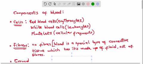 list-the-components-of-blood-that-are-fibers-cells-ground-substance