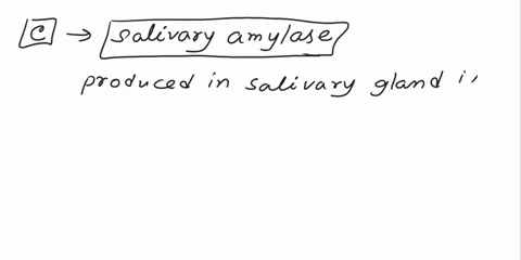 which-one-of-the-following-enzymes-facilitates-the-breakdown-of-complex-carbohydrates-into-simple-carbohydrates-a-lipase-b-pancreatic-amylase-c-salivary-amylase-d-pepsin-90633