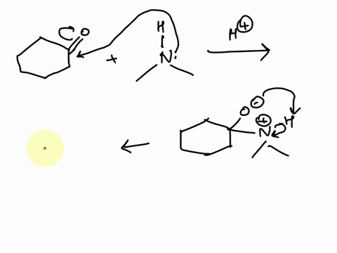 which-of-a-d-is-least-likely-as-an-intermediate-or-a-product-in-the-tollowing-reaction-24712