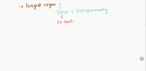hurrythis-system-contains-the-largest-organ-in-the-body-o-the-integumentary-system-o-the-nervous-systemthe-reproductive-system-o-the-endocrine-system-20246