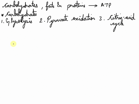 describe-the-steps-that-carbohydrates-fats-and-protein-go-through-to-generate-atp-energy-in-the-metabolic-cycle-within-the-cell-digestion-prepares-food-for-absorption-metabolism-is-the-use-o-09486