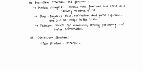 1relate-the-three-major-structures-of-the-brain-stem-to-their-primary-functions-2-identify-the-main-structure-fissures-lobes-of-the-cerebellum-3-identify-the-gross-structures-of-the-cerebrum-64412