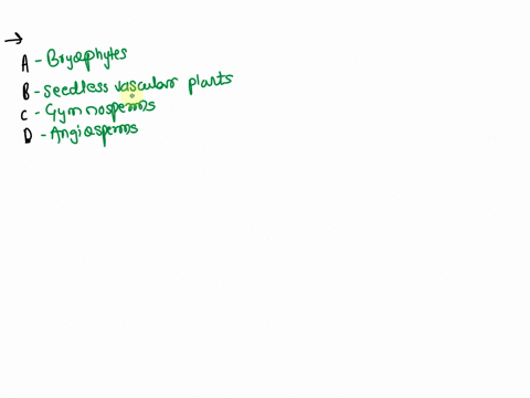 using-your-answers-to-the-questions-above-about-the-important-land-plant-traits-are-seen-in-different-types-of-plants-match-each-type-of-plant-with-the-correct-position-in-the-phylogenetic-t-19776