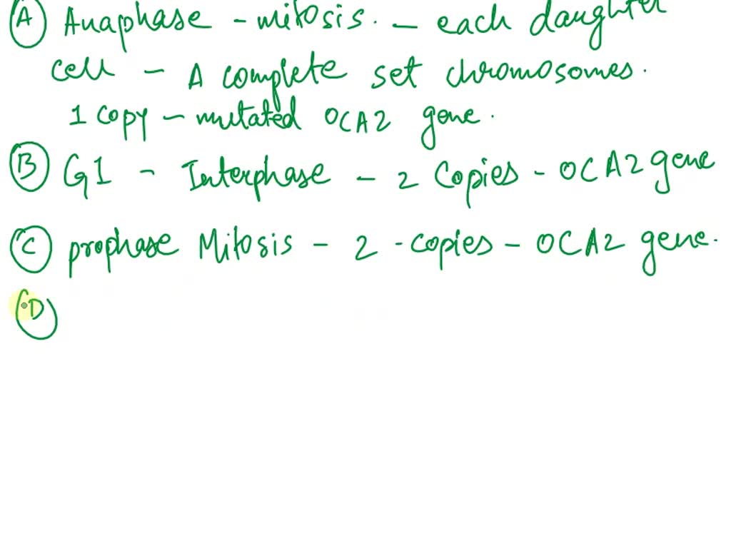 solved-tawa-has-oculocutaneous-type-2-albinism-see-introduction-to