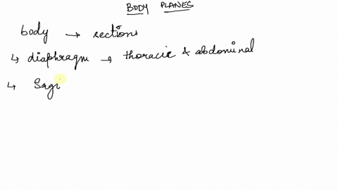 the-plane-that-separates-the-abdominal-and-the-pelvic-cavities-is-select-one-sagittal-on-the-brachium-b-superior-to-the-thorax-c-the-mediastinum-d-midsagittal-on-the-trunk-e-transverse-at-th-38294