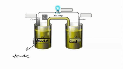 Part label the electrochemical cell for the following...