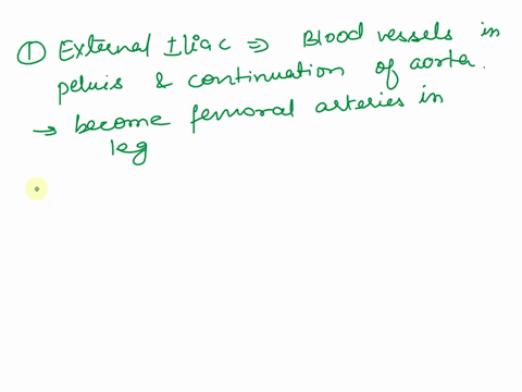 pal-models-cardiovascular-system-arteries-quiz-question-5-part-a-which-arteries-are-highlighted-external-iliac-common-iliac-internal-iliac-gonadal-submitrequest-answer-provide-feedback-next-52165