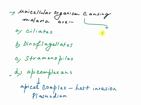 the-unicellular-organism-that-causes-malaria-belongs-to-which-of-the-following-groups-ciliates-dinoflagellates-stramenopiles-apicomplexans-08125