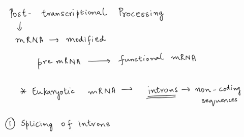 select-all-that-apply-posttranslational-processing-of-rna-transcripts-1-involves-excising-introns-and-splicing-together-exons-2-occurs-in-the-cytoplasm-3-includes-the-addition-of-a-polya-unt-44703