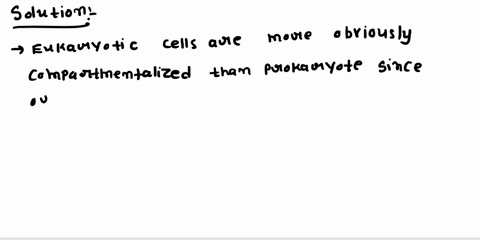 eukaryotic-cells-are-more-obviously-compartmentalized-than-prokaryotes-have-a-single-circular-supercoiled-piece-of-dna-contain-peptidoglycan-in-the-cell-wall-have-the-same-size-ribosomes-as-98577