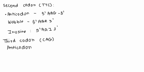 25-points-yau-have-the-following-dna-coding-sequence-ofa-wild-type-alkle-5-atg-ttc-cag-cta-gat-gat-atg-ctg-gta-att-ggg-gaa-ogcgcg-cgg-taa-3-for-the-second-thlrd-fourth-and-fifth-codons-write-04696