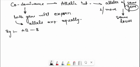 the-abo-blood-groups-numaint-e-determined-by-muktipl-allele-system-which-dominant-to-how-many-possible-eenotyper-are-there-and-dre-codominant-and-are-83487