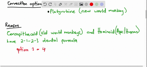 imagine-that-you-find-a-nonhuman-primate-skull-with-the-following-features-anterior-facing-orbits-postorbital-closure-no-bony-ear-tube-a-2-1-3-3-dental-formula-based-upon-your-knowledge-of-p-91715