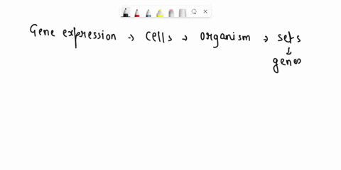true-or-false-differential-gene-expression-refers-to-the-fact-that-all-cells-within-an-organism-transcribe-the-same-genes-55594