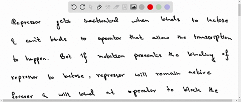 a-mutation-in-the-lac-repressor-protein-prevents-it-from-binding-to-lactose-will-the-lac-operon-be-expressed-when-lactose-levels-are-high-and-glucose-levels-are-low-explain-your-reasoning-00138
