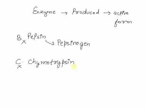 3-an-enzyme-that-is-produced-in-its-active-form-b-pepsin-d-chymotrypsin-a-ecor1-c-trypsin-03998