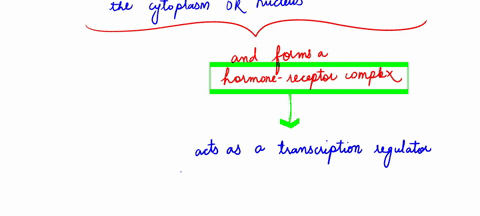 c-explain-how-cell-signaling-such-as-hormones-can-regulate-gene-expression-40808