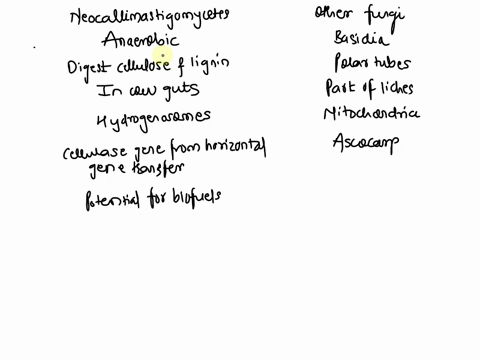 place-the-items-into-the-appropriate-category-of-being-a-characteristic-of-neocallimastigomycetes-or-a-characteristic-of-other-fungi-place-the-items-into-the-appropriate-category-of-being-a-57197