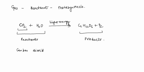 which-gas-is-the-reactant-in-the-chemical-reactions-of-photosynthesis-nitrogen-air-oxygen-carbon-dioxide-28742