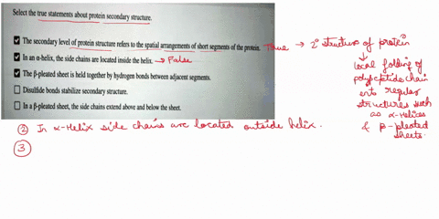 select-the-true-statements-about-protein-secondary-structure-the-secondary-level-of-protein-structure-refers-0-the-spatial-arrangements-of-short-segments-of-the-protein-in-an-helix-the-side-19352