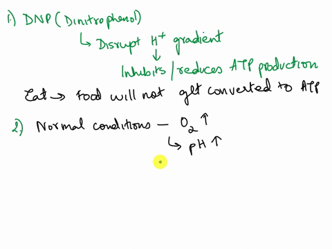 using-your-understanding-of-the-organization-of-the-mitochondrion-and-how-it-generates-atp-answer-the-following-questions-what-would-be-the-effect-on-atp-production-of-adding-a-substance-dnp-57566