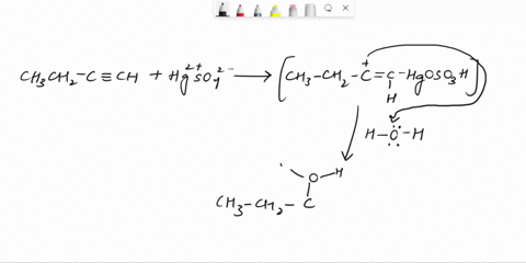 what-is-the-major-organic-product-obtained-from-the-following-reaction-h2o-chchcch-hgso4-h2so4-oh-a1-b2-c3-d4-o-a-o-b-o-p-o-19382