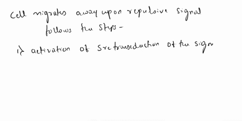 how-might-the-cell-migrate-away-from-epulsive-signals-rank-the-order-of-events-from-the-first-to-the-last-reset-help-activation-of-actin-polymerization-activation-of-actin-synthesis-formatio-66735