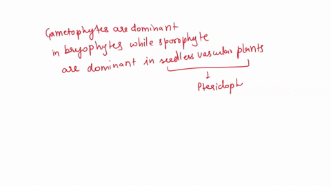 list-two-features-that-distinguish-the-seedless-vascular-plants-from-the-bryophytes-19562