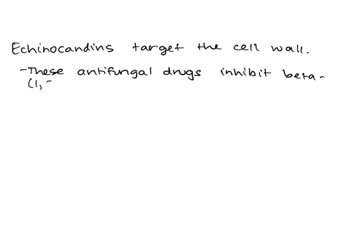 7-echinocandins-were-first-discovered-in-the-1970s-and-are-one-of-the-newest-antifungal-drugs-to-come-on-the-market-echinocandins-act-by-inhibiting-synthesis-of-13-d-glucan-synthesis-what-part-of-the-