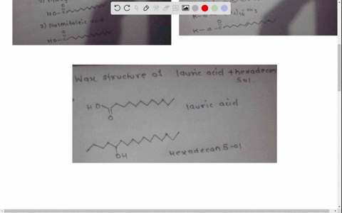 draw-th-triacylglycerol-that-can-be-constructed-from-glycerol-fa1-arachidonic-acid-fa2-margaric-acid-and-fa3-palmitoleic-acid-follow-the-order-of-fatty-acids-given-10-pts-substance-structure-62474