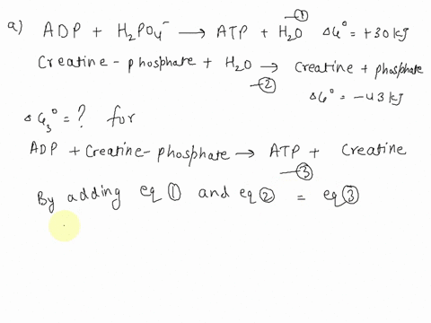 9-atp-formation-from-adp-and-hzpo4-is-nonspontaneous-process-this-reaction-is-connected-with-creatine-phosphate-hydrolysis-which-has-negative-ag-value-adp-hzpo4-atp-hzo-ag-30-kj-creatine-pho-81525