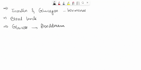 explain-the-relationship-between-insulin-and-glucagon-97689