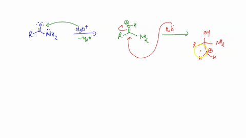 which-of-the-following-are-intermediates-in-the-acid-hydrolysis-of-an-amide-nhj-2-and-3-33937