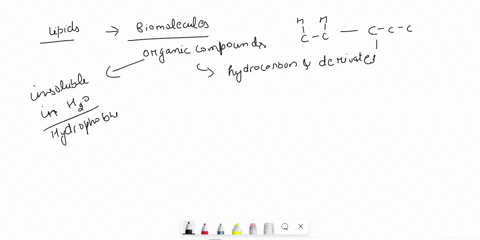 please-refer-to-the-provided-structure-refer-to-the-given-lipid-structure-23-ch-o-c-ch16ch3-11-ch-o-c-chch-nh3-ch-o-p-o-ch-ch-coo-i-identify-the-lipid-structure-give-its-role-function-and-en-95153
