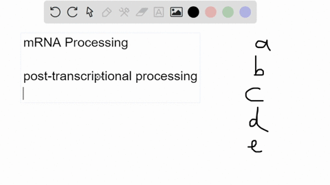 17-the-process-of-mrna-processing-occurs-select-one-a-after-translation-initiation-but-before-translation-termination-b-after-mrna-is-moved-from-the-nucleus-to-the-cytoplasm-c-before-mrna-is-98116