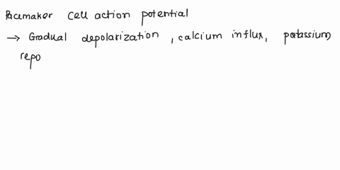 3aexplain-pacemaker-and-non-pacemaker-cell-heart-action-potential-201-bwrite-and-explain-cardiac-conduction-system-10-03795