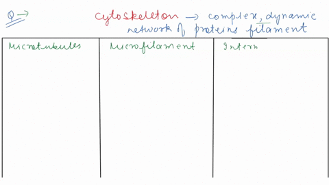 there-are-three-major-classes-of-protein-filaments-that-make-up-the-cytoskeleton-of-a-typical-animal-64473