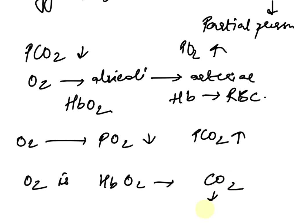 SOLVED Construct a map of gas transport using the following terms. You
