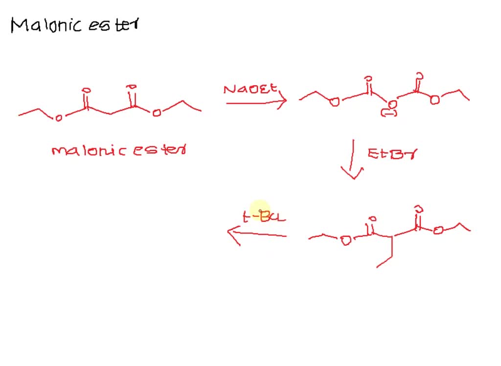 SOLVED Maleic acid heat Ethyl butyrate Moles of methylmagnesium iodide Acetic anhydride