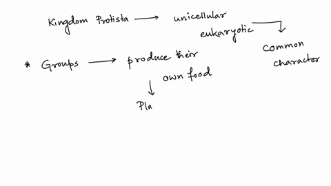 protists-can-be-grouped-into-three-major-groups-the-blank-produce-their-own-food-are-relatively-stationary-and-have-cell-walls-a-eukaryotic-protists-b-animal-like-protists-c-plant-like-proti-47722
