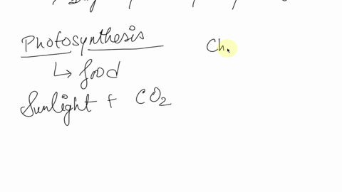 what-is-the-function-of-carotenoids-in-photosynthesis-a-they-supplement-chlorophyll-absorption-b-the-38936