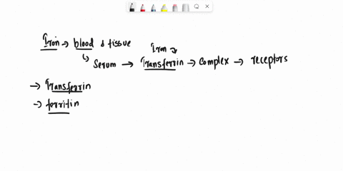 although-essential-iron-is-also-potentially-toxic-it-is-maintained-at-optimal-levels-in-mammalian-cells-by-the-actions-of-three-proteins-transferrin-binds-to-extracellular-iron-ions-and-carr-05085
