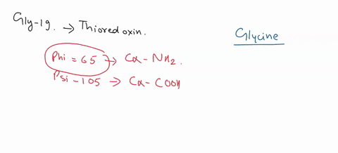 gly-19-in-the-structure-of-the-human-protein-thioredoxin-is-involved-in-an-abrupt-turn-in-the-protein-chain-ramachandran-angles-are-phi-65-psi-105-which-answer-below-best-describes-why-glyci-66477