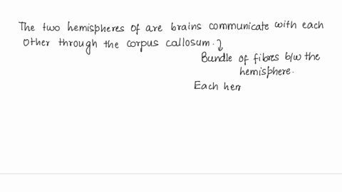 how-might-you-feel-with-two-separate-brain-hemispheres-both-of-which-controlled-your-thought-and-action-but-one-of-which-dominated-your-consciousness-and-speech-how-might-that-affect-your-se-56323