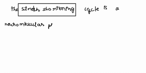 write-a-250-word-essay-response-to-the-following-question-use-your-own-words-describe-the-stretch-shortening-cycle-and-how-it-relates-to-exercise-72228