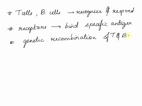which-statement-about-the-specific-immune-response-is-false-89962